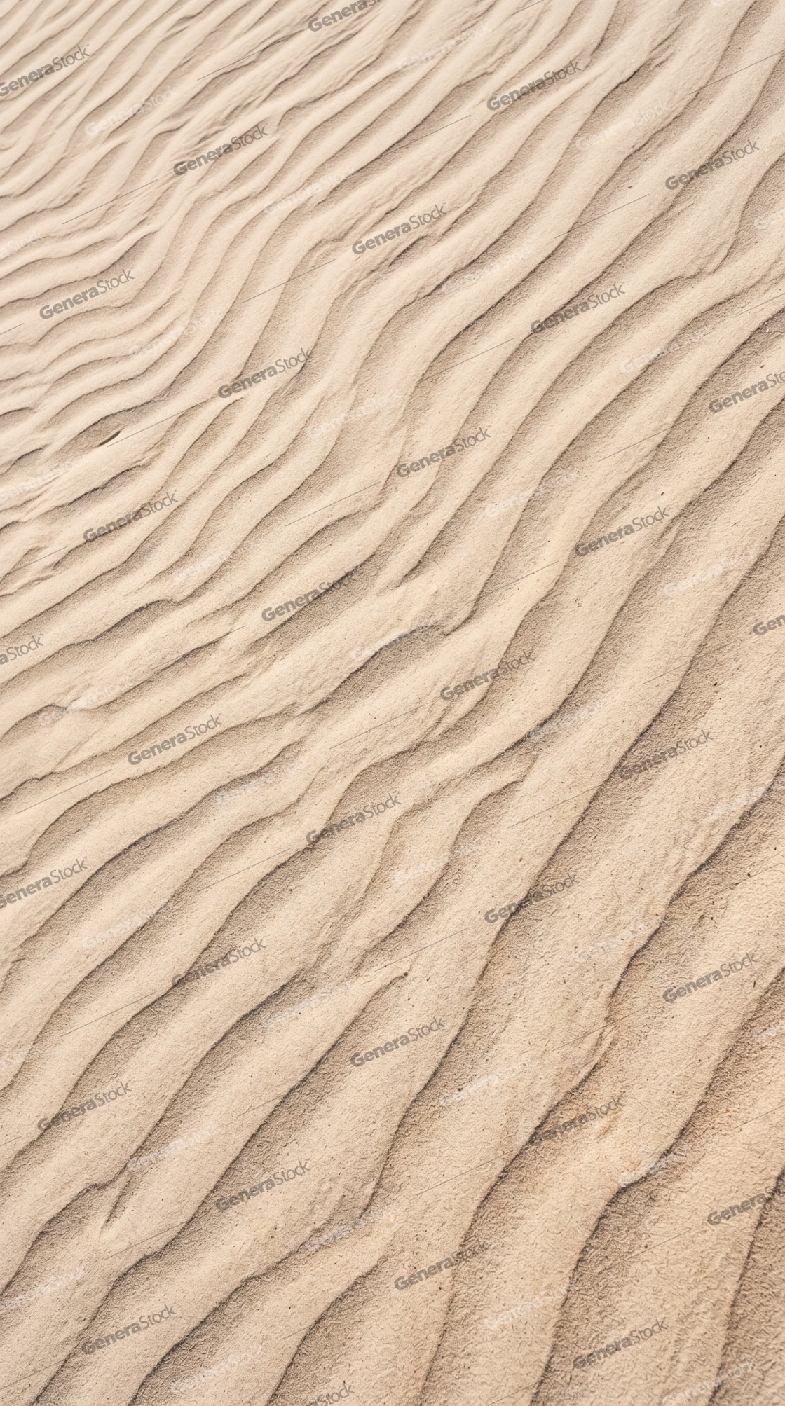 Natural wavy patterns on a sandy surface created by wind erosion in a desert or beach environment