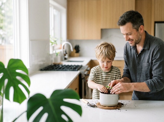 happy, father, and, young, son, planting, green, seedling, together, ceramic, pot, bright, kitchen, counter, gardening, family, child, man, sprout, indoor, home, lifestyle, bonding, teaching, education, sustainability, environment, growth, care, togetherness, childhood, parenting, hobby, activity, modern, natural, light, smiling, soil, monstera, houseplant, spring, learning, domestic, people