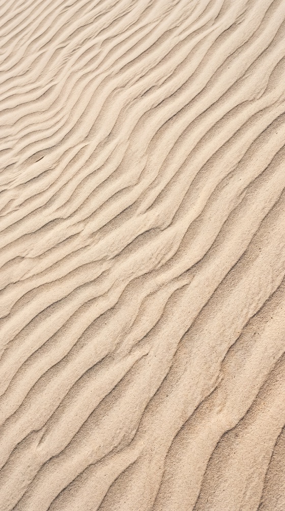 natural, wavy, patterns, sandy, surface, created, wind, erosion, desert, beach, environment, sand, ripples, texture, pattern, waves, nature, background, dune, tan, beige, abstract, landscape, dry, arid, coastal, outdoor, detail, earth, geology, lines, repetitive, macro, close-up, sahara, travel, summer, heat, soil, ground, wilderness, scenic, minimalist, landscapes