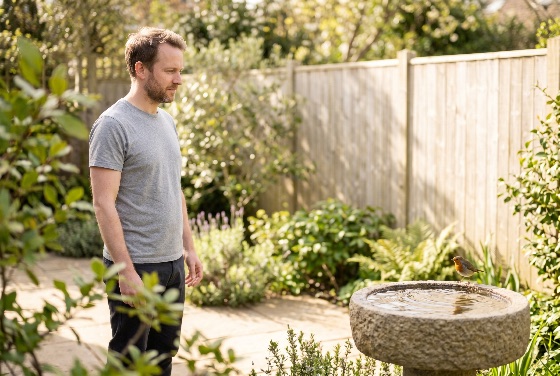 man, grey, t-shirt, observing, european, robin, perched, stone, birdbath, sunny, backyard, garden, bird, nature, outdoor, wildlife, birdwatching, water, peaceful, serenity, connection, lifestyle, greenery, plants, wooden, fence, summer, spring, leisure, calm, erithacus, rubecula, adult, male, casual, home, patio, sunlight, daylight, tranquility, environment, animal, small, birds, ornithology, meditative, landscapes