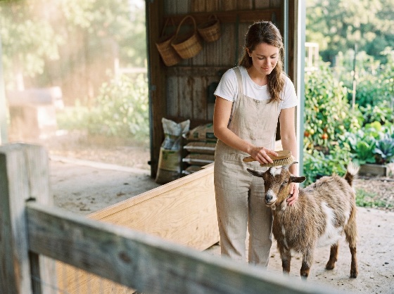 young, woman, overalls, grooming, small, goat, rustic, barn, setting, farming, brush, livestock, animal, care, rural, agriculture, farm, pet, hobby, sustainable, living, country, life, nature, mammal, domestic, female, farmer, outdoors, peaceful, nurturing, interaction, ranch, countryside, garden, backyard, husbandry, lifestyle, organic, animals, wildlife