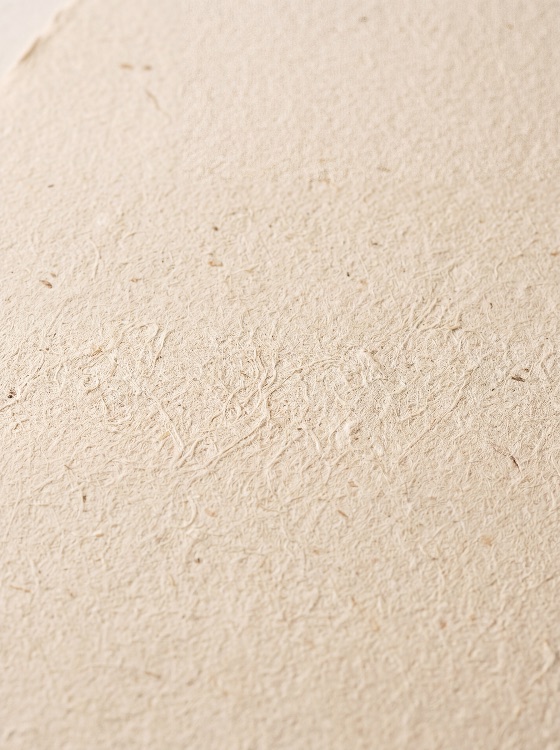 close-up, beige, handmade, paper, texture, with, visible, organic, fibers, cream, recycled, fibrous, natural, background, surface, rough, detail, eco-friendly, material, craft, parchment, vintage, antique, neutral, minimalist, fiber, pattern, abstract, macro, off-white, light, brown, stationery, art, design, blank, empty, backgrounds, textures