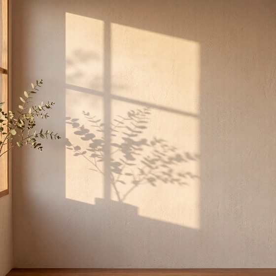 warm, golden, sunlight, and, shadows, window, frame, eucalyptus, leaves, minimalist, beige, textured, wall, shadow, hour, interior, background, texture, leaf, plant, aesthetic, calm, serene, light, morning, evening, home, decor, copy, space, neutral, organic, nature, silhouette, design, architecture, plaster, cream, sand, soft, peaceful, mood, backgrounds, textures