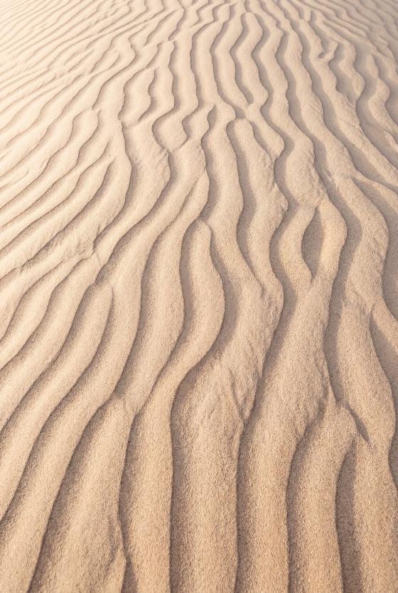 natural, wavy, texture, wind-blown, sand, ripples, desert, dune, pattern, nature, abstract, background, wind, golden, beige, landscape, dry, arid, sahara, beach, summer, heat, sun, light, shadow, organic, fine, grain, surface, detail, outdoor, environment, travel, adventure, wilderness, earth, soil, dust, erosion, geology, minimalist, zen, calm, peaceful, serene, vertical, landscapes