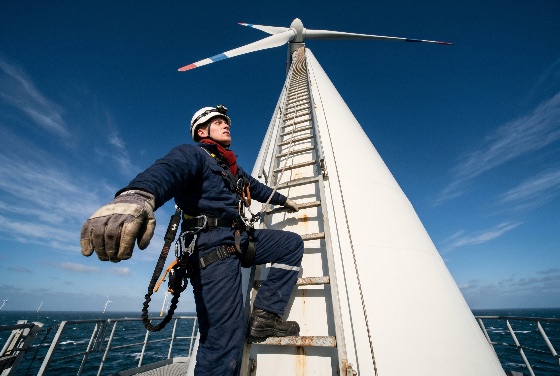 engineer, safety, gear, climbing, the, ladder, offshore, wind, turbine, for, maintenance, against, clear, blue, sky, technician, renewable, energy, farm, green, sustainability, industrial, ocean, sea, power, electricity, helmet, harness, jumpsuit, gloves, inspection, repair, height, tower, blades, clean, environment, professional, male, outdoor, daytime, low, angle, perspective, scale, industry, construction