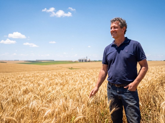 happy, middle-aged, farmer, standing, vast, golden, wheat, field, under, blue, sky, agriculture, farming, harvest, man, rural, crop, farm, grain, agricultural, success, outdoor, nature, sunny, countryside, cereal, plantation, male, lifestyle, agribusiness, landscape, growth, production, food, sustainable, organic, worker, professional, land, horizon, cultivation, agronomy, agronomist, plant, scenery, environment, landscapes