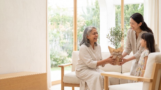 joyful, grandmother, receives, potted, olive, tree, gift, from, her, daughter, and, granddaughter, sunlit, minimalist, living, room, capturing, heartwarming, moment, family, bonding, love, mother, present, plant, happiness, joy, asian, multi-generational, home, lifestyle, celebration, togetherness, interior, modern, bright, natural, light, window, garden, three, people, female, senior, adult, child, smiling, laughing, giving, receiving, surprise, birthday, day, anniversary, gratitude, care, harmony, peaceful, relationship, generation, heritage, culture, japanese