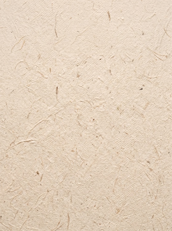natural, cream, colored, handmade, recycled, paper, texture, background, with, organic, plant, fibers, and, rough, surface, fiber, beige, craft, parchment, vintage, antique, material, blank, eco-friendly, mulberry, washi, japanese, artisan, abstract, pattern, macro, detail, rustic, earth, tones, pulp, stationery, scrapbooking, artistic, design, template, empty, neutral, textured, light, soft, grainy, uneven, botanical, sustainable, backgrounds, textures