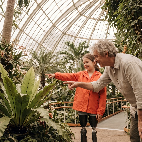 smiling, young, girl, with, prosthetic, legs, and, her, grandfather, pointing, tropical, plants, inside, large, glass, greenhouse, showcasing, family, bonding, inclusivity, educational, nature, exploration, disability, inclusive, botanical, garden, granddaughter, education, learning, happy, childhood, senior, elderly, diversity, accessibility, glasshouse, conservatory, fern, palm, trees, discovery, lifestyle, togetherness, outdoors, indoor, curiosity, inspiration, motivation, bionic, artificial, limbs, child, man, male, female, leisure, weekend, activity, environment, botany, science, biology, foliage, people