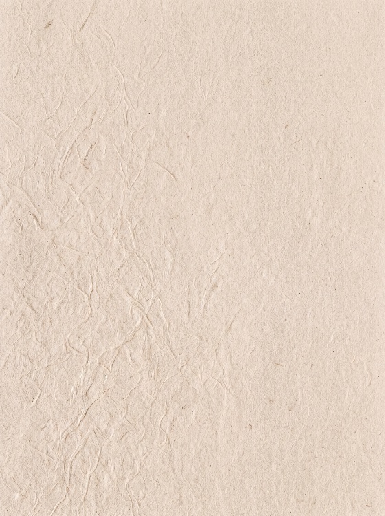 textured, light, beige, handmade, paper, background, with, visible, organic, fibers, texture, cream, recycled, fiber, fibrous, parchment, natural, rustic, vintage, neutral, off-white, surface, material, craft, scrapbooking, stationery, invitation, minimalist, design, abstract, rough, wrinkled, crumpled, mulberry, washi, artistic, blank, empty, detail, close-up, macro, soft, warm, elegant, classic, pattern, structure, grain, grainy, antique, old, backgrounds, textures