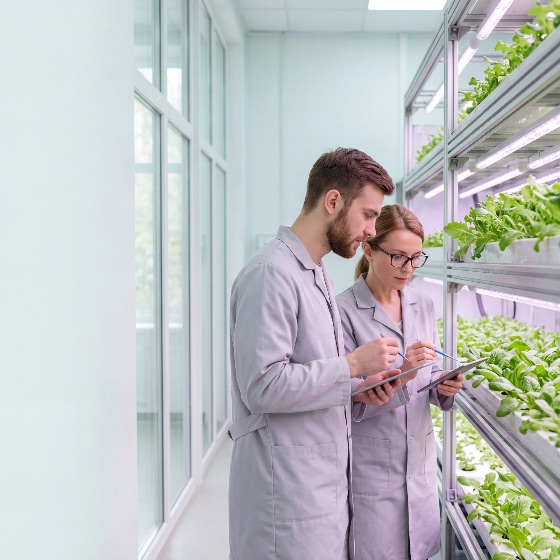 two, professional, scientists, white, lab, coats, examine, green, leafy, vegetables, modern, vertical, farm, using, digital, tablets, for, data, collection, and, research, high-tech, indoor, agricultural, farming, hydroponics, agriculture, technology, scientist, laboratory, plants, lettuce, agritech, biotechnology, sustainability, tablet, coat, food, production, smart, innovation, science, botanist, growth, urban, environment, analysis, team, collaboration, organic, future, greenhouse, cultivation, healthy, eco-friendly, artificial, light, led, biology, genetics, monitoring, inspection, quality, control, sustainable, aeroponics