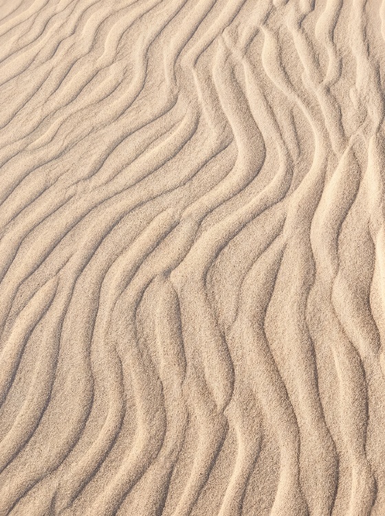 natural, abstract, texture, wind-blown, sand, ripples, desert, dune, pattern, nature, wind, wavy, background, beige, tan, dry, arid, landscape, organic, rhythmic, surface, close-up, earth, beach, summer, heat, shadow, lines, curves, fine, grain, mineral, geology, environment, outdoor, minimalist, simple, neutral, macro, detail, backgrounds, textures