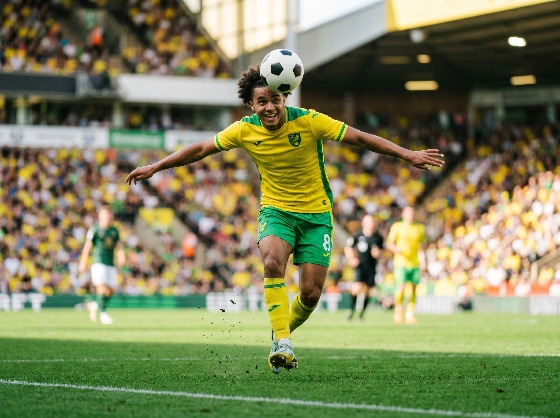 professional, soccer, player, yellow, and, green, kit, heading, the, ball, during, competitive, match, packed, stadium, football, athlete, sport, action, competition, jersey, field, pitch, header, skill, game, energy, dynamic, crowd, spectators, fans, arena, outdoor, daylight, young, man, curly, hair, athletic, performance, goal, teamwork, league, tournament, championship, active, lifestyle, exercise, fitness, training, movement, focus, concentration, determination, achievement, victory, success, sports