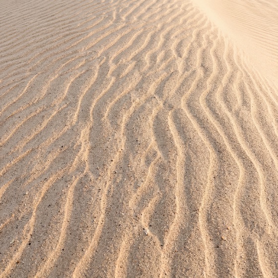 natural, texture, wind-blown, sand, ripples, desert, dune, warm, sunlight, wind, pattern, golden, background, abstract, wavy, ridges, landscape, nature, arid, dry, sahara, beach, summer, shadow, grain, surface, earth, environment, travel, wilderness, detail, close-up, macro, beige, brown, yellow, light, outdoor, scenic, minimalist, erosion, geology, landscapes
