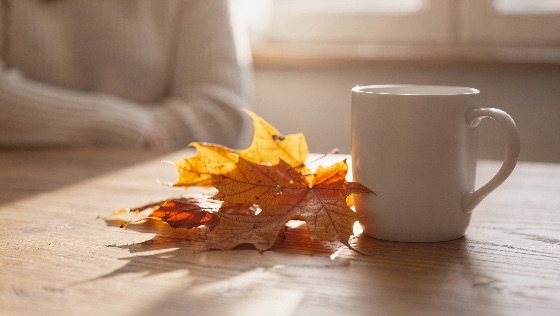 cozy, autumn, morning, with, white, mug, and, dry, maple, leaves, ceramic, golden, rest, wooden, table, soft, sunlight, highlights, the, seasonal, scene, blurred, figure, knit, sweater, sits, background, enhancing, home, atmosphere, coffee, tea, warmth, lifestyle, fall, orange, yellow, brown, beverage, drink, indoor, relaxation, peaceful, calm, knitwear, comfort, rustic, window, light, nature, october, november, foliage, cup, breakfast, hygge, mood, still, life, aesthetic, weekend, leisure, landscapes