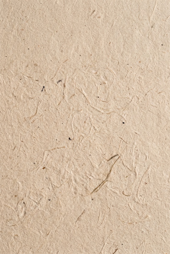 natural, beige, handmade, paper, texture, background, with, visible, fibers, recycled, fibrous, pulp, organic, rustic, rough, surface, eco-friendly, material, craft, vintage, parchment, grain, pattern, macro, detail, abstract, neutral, earth, tones, sustainable, mulberry, washi, stationery, design, art, canvas, blank, empty, aged, old, antique, light, brown, tan, backgrounds, textures