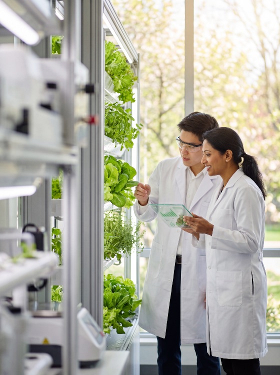 two, diverse, scientists, white, lab, coats, analyze, plant, growth, modern, vertical, farm, using, transparent, digital, tablet, monitor, data, and, optimize, sustainable, agricultural, technology, farming, agriculture, scientist, laboratory, hydroponics, sustainability, research, plants, agritech, innovation, food, production, indoor, lettuce, science, botanist, coat, team, collaboration, future, smart, biology, biotechnology, environment, green, organic, monitoring, analysis, led, lights, urban, professional, ecology, greenhouse, cultivation, botanical, experiment, development, high-tech, security, garden, engineering