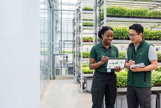 diverse, agricultural, researchers, analyzing, data, tablet, modern, vertical, farm, farming, ag-tech, smart, agriculture, greenhouse, scientists, analysis, sustainability, hydroponics, indoor, microgreens, diversity, collaboration, technology, food, production, agronomist, plant, growth, digital, leafy, greens, urban, eco-friendly, innovation, professional, teamwork, multiethnic, biotechnology, science, irrigation, led, lighting, environment, future, security