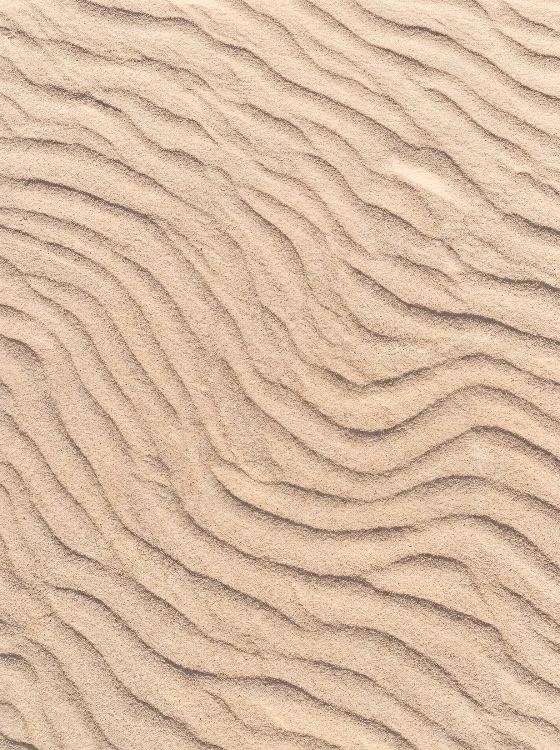 natural, sand, ripples, texture, with, wavy, patterns, formed, wind, desert, beach, environment, waves, pattern, background, dune, beige, tan, abstract, surface, landscape, nature, earth, dry, arid, soil, ground, outdoor, summer, travel, geology, erosion, rhythmic, fine, detail, macro, top, view, overhead, minimalist, landscapes