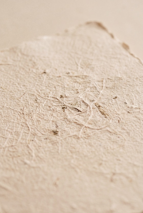macro, shot, beige, artisanal, handmade, paper, showing, organic, fibrous, texture, and, deckle, edge, recycled, background, natural, sustainable, eco-friendly, cream, surface, rough, detail, minimalist, neutral, craft, material, stationery, fiber, vintage, rustic, parchment, blank, pattern, abstract, close-up, design, art, pulp, botanical, eco, environment, cardstock, invitation, scrapbooking, backgrounds, textures