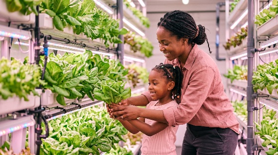 smiling, african, american, mother, and, young, daughter, examining, fresh, green, lettuce, high-tech, indoor, vertical, farm, with, hydroponic, systems, hydroponics, agriculture, family, farming, sustainable, technology, greenhouse, urban, led, lights, grow, organic, education, learning, bonding, happiness, future, innovation, smart, healthy, eating, nutrition, harvesting, together, black, woman, child, girl, people, modern, sustainability, food, production, vegetables, leafy, greens, plant, growth, nature, science, environment, lifestyle