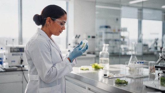 professional, female, scientist, white, lab, coat, and, safety, gog, goggles, inspects, plant, seedling, petri, dish, bright, modern, laboratory, setting, with, microscopes, glassware, focus, botanical, research, biotechnology, science, woman, biology, botany, gloves, agriculture, experiment, analysis, scientific, technology, innovation, genetics, environment, nature, green, growth, study, discovery, equipment, microscope, test, tube, clean, working, specialist, expert, investigation, development, sustainability, organic, health, medicine, pharmaceutical, chemical, technician, quality, control, bioengineering