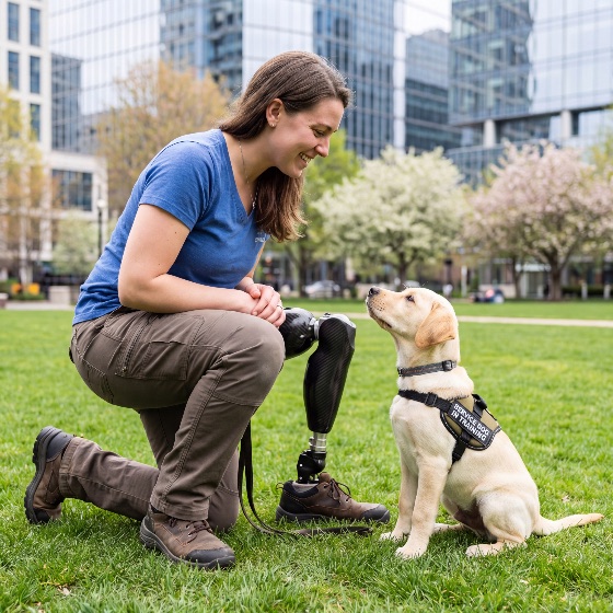 smiling, woman, with, prosthetic, leg, kneeling, urban, park, while, training, yellow, labrador, puppy, wearing, service, dog, vest, against, backdrop, modern, glass, buildings, disability, retriever, assistance, amputee, awareness, lab, harness, city, outdoors, connection, bond, friendship, support, accessibility, inclusion, lifestyle, rehabilitation, mobility, companion, animal, pet, canine, session, grass, spring, nature, person, female, young, adult, professional, working, guide, help, loyalty, empowerment, artificial, limb, carbon, fiber, bionic, animals, wildlife
